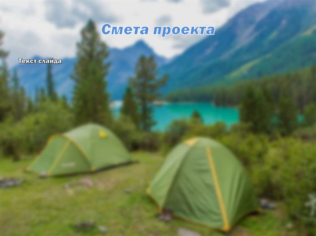 Смета проекта