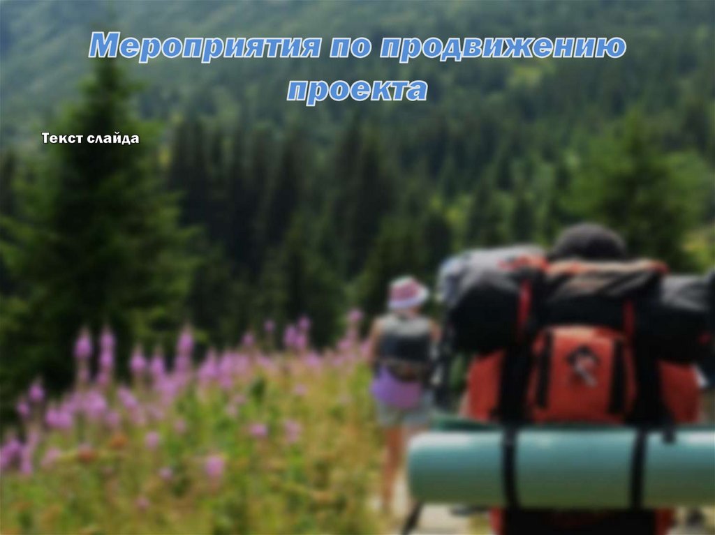 Мероприятия по продвижению проекта