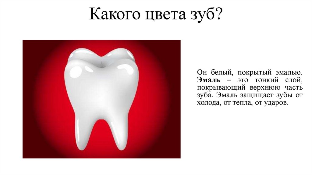 Какого цвета зуб?