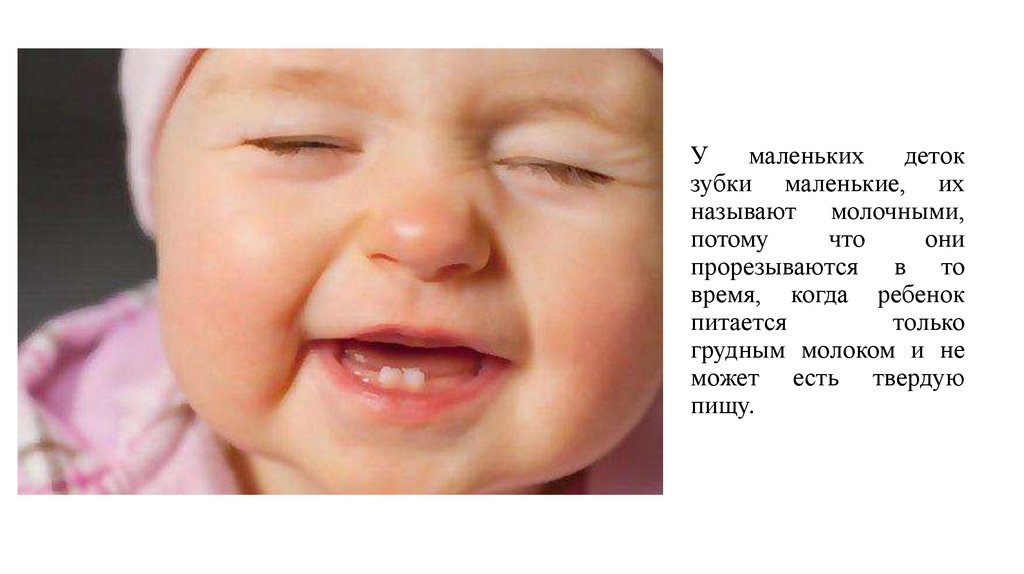 У маленьких деток зубки маленькие, их называют молочными, потому что они прорезываются в то время, когда ребенок питается
