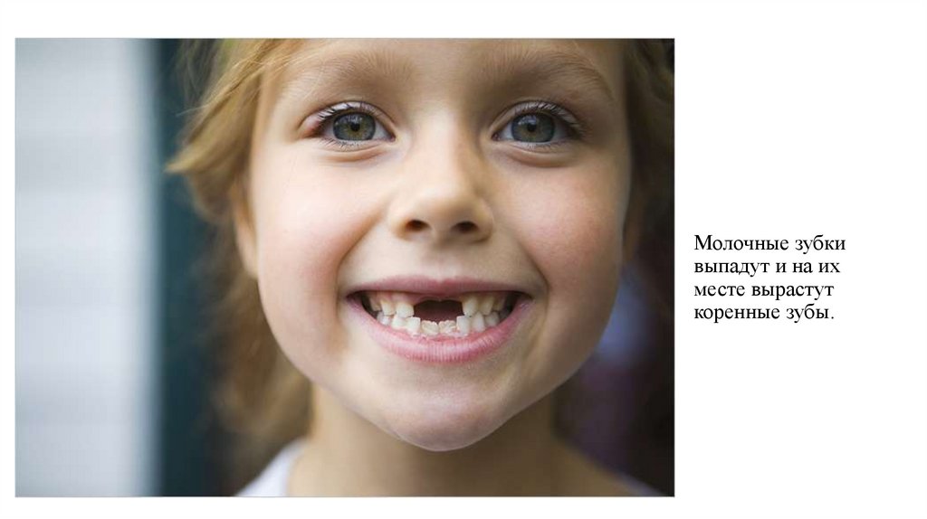Молочные зубки выпадут и на их месте вырастут коренные зубы.