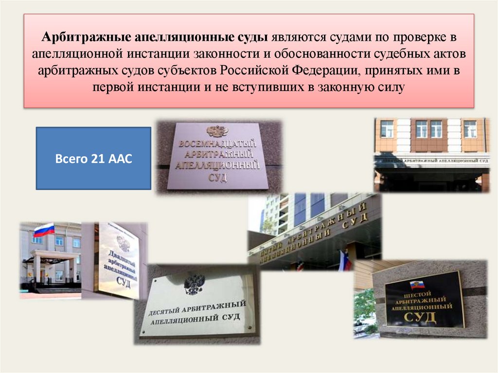 Арбитражные апелляционные суды являются судами по проверке в апелляционной инстанции законности и обоснованности судебных актов