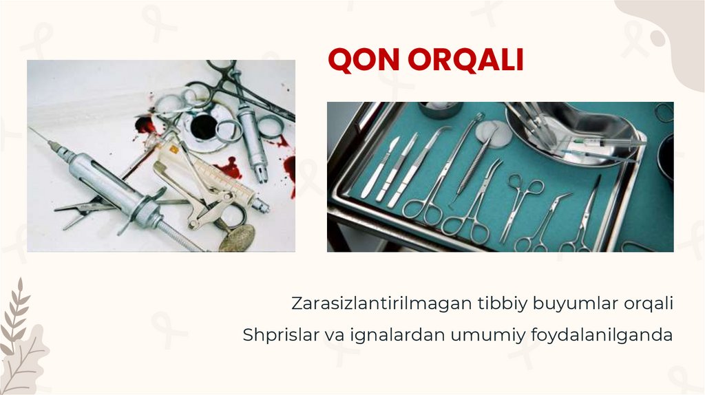 QON ORQALI