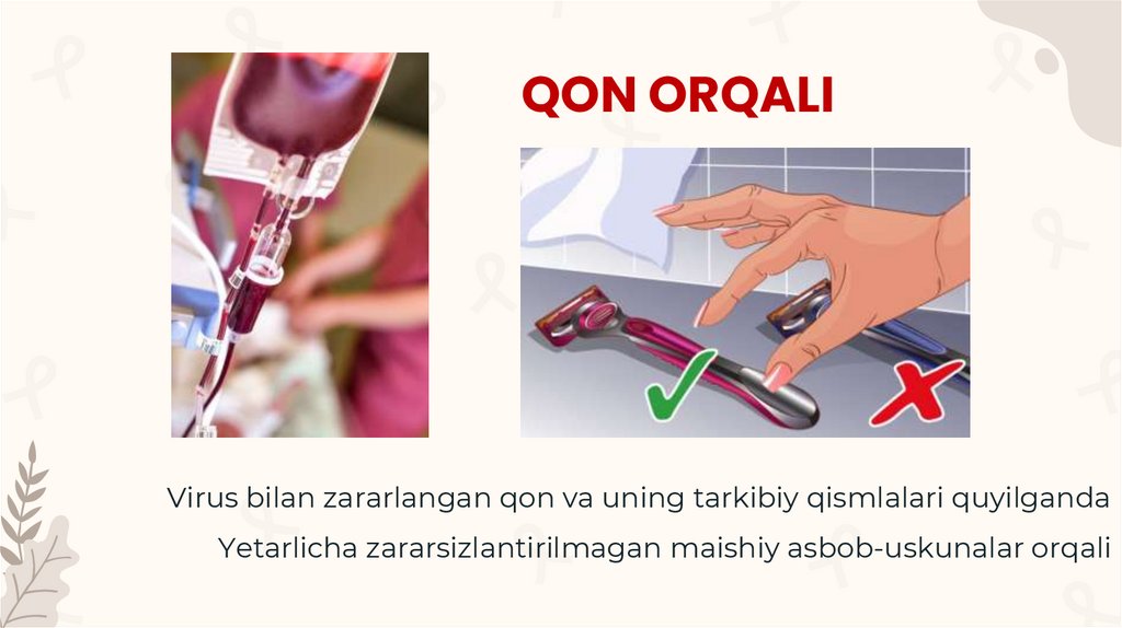 QON ORQALI