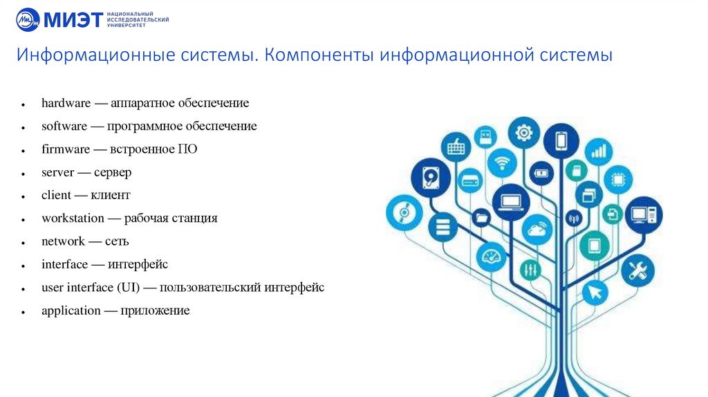 Информационные системы. Компоненты информационной системы