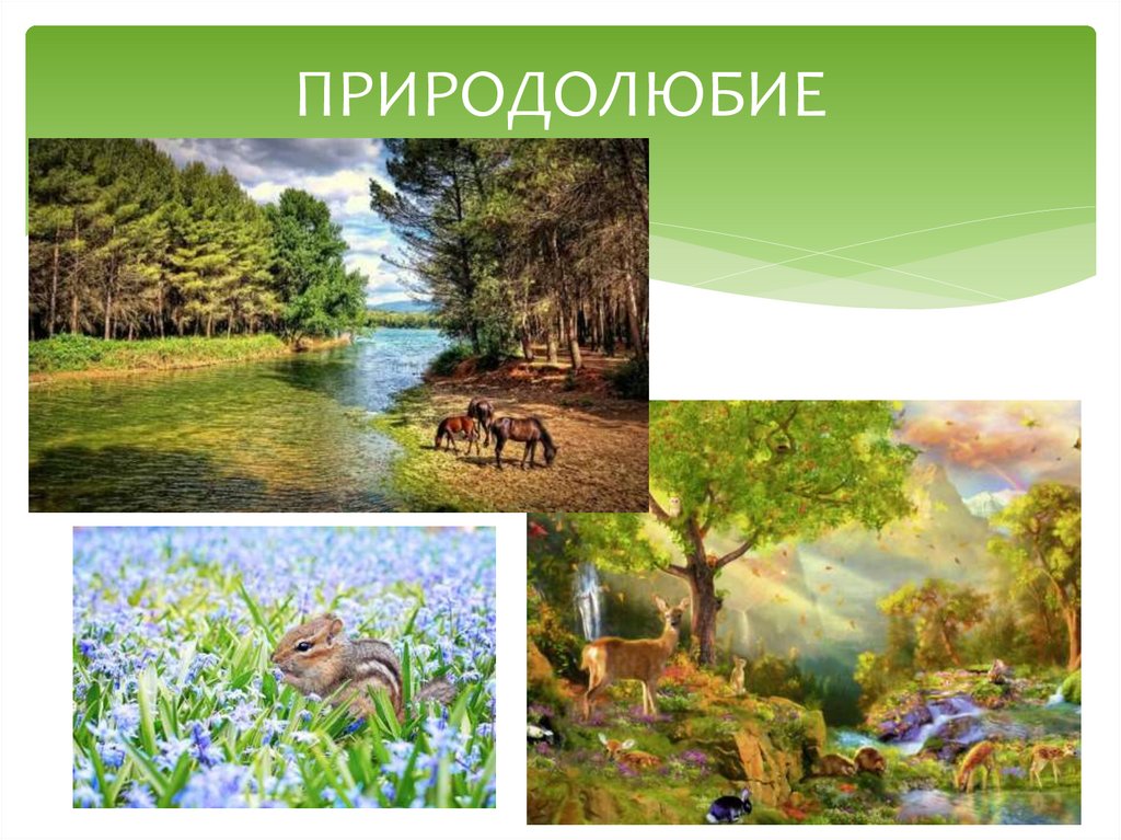 ПРИРОДОЛЮБИЕ
