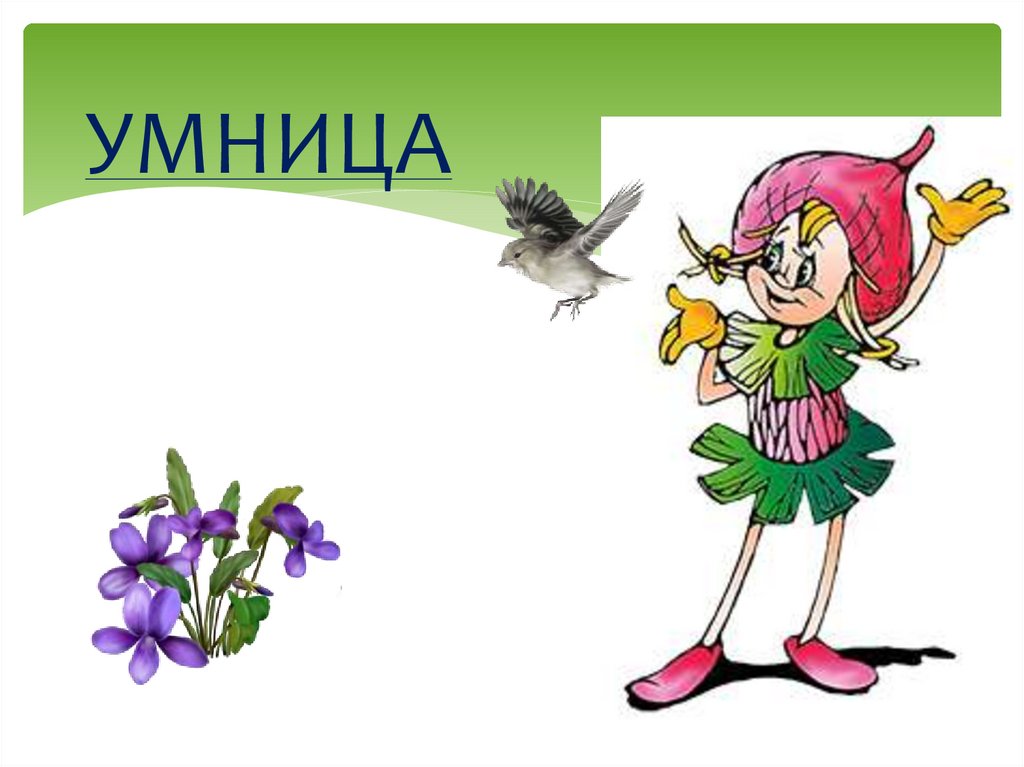 УМНИЦА