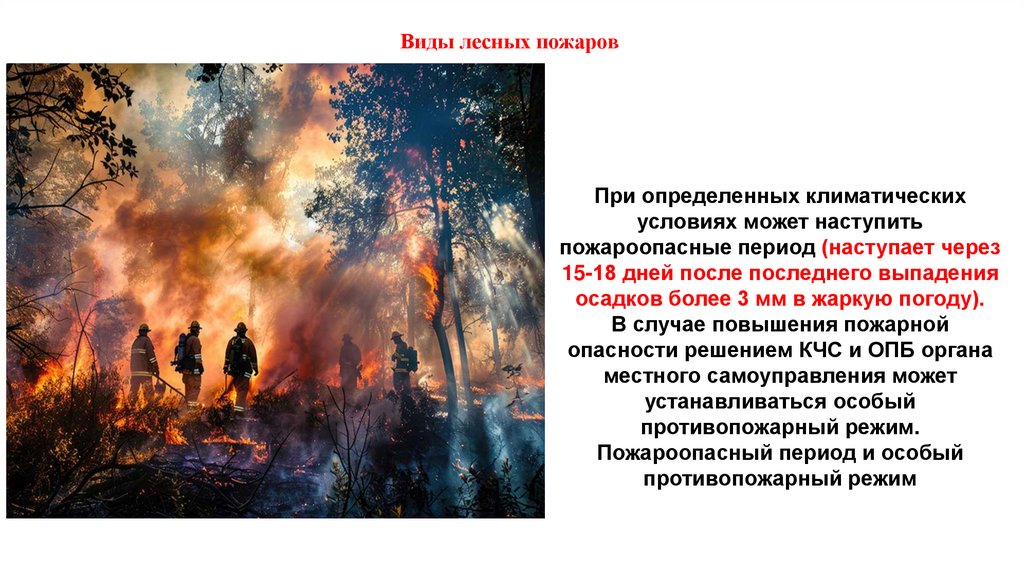 Ви­ды лес­ных по­жа­ров 