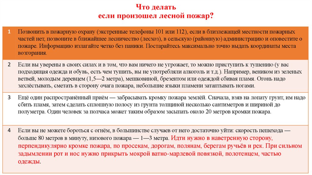 Что делать если произошел лесной пожар?