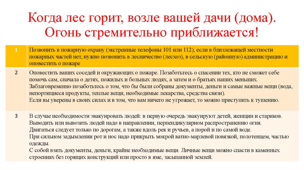 Когда лес горит, возле вашей дачи (дома). Огонь стремительно приближается!