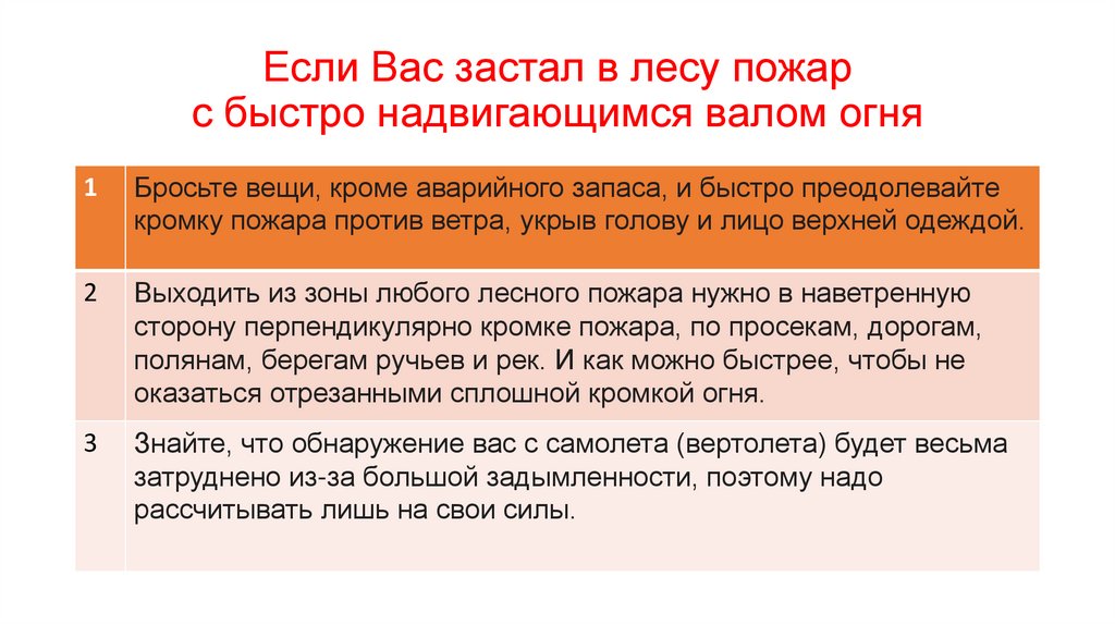 Если Вас застал в лесу пожар с быстро надвигающимся валом огня