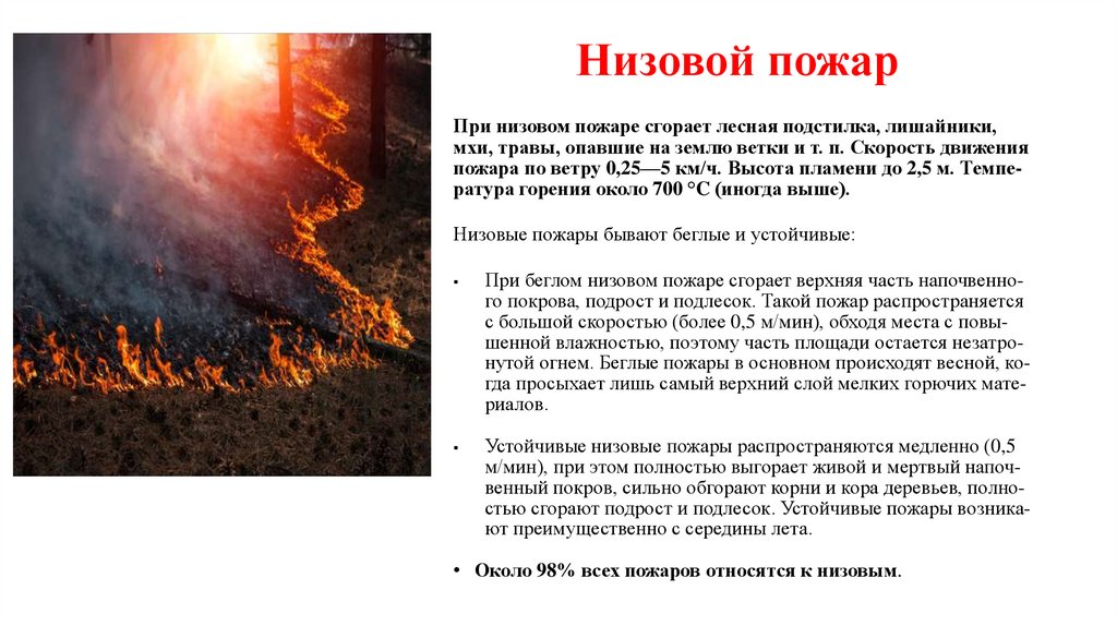 Ни­зо­вой по­жар 