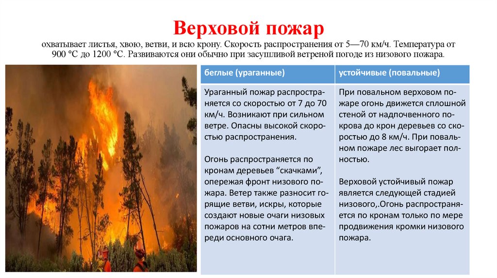 Вер­хо­вой по­жар охва­ты­ва­ет ли­стья, хвою, вет­ви, и всю кро­ну. Ско­рость рас­про­стра­не­ния от 5—70 км/ч.