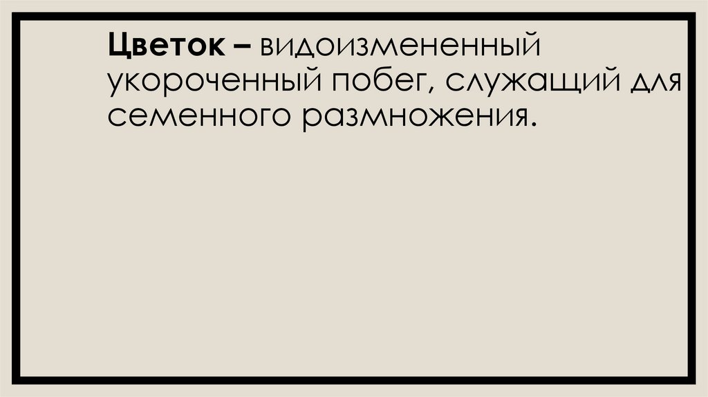Цветок – видоизмененный укороченный побег, служащий для семенного размножения.