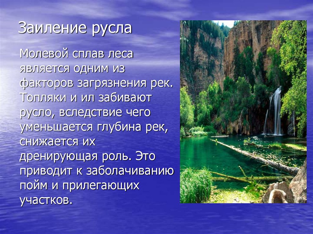 Заиление русла