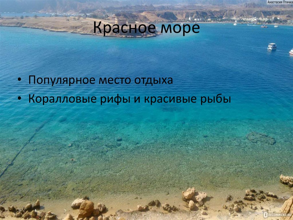 Красное море