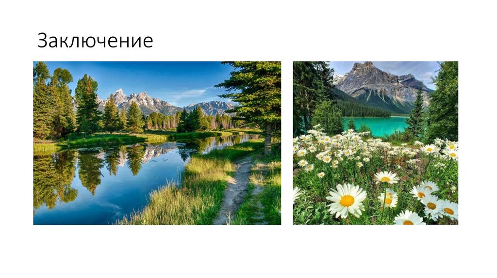 Заключение