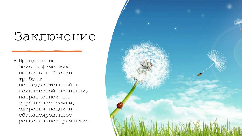 Заключение