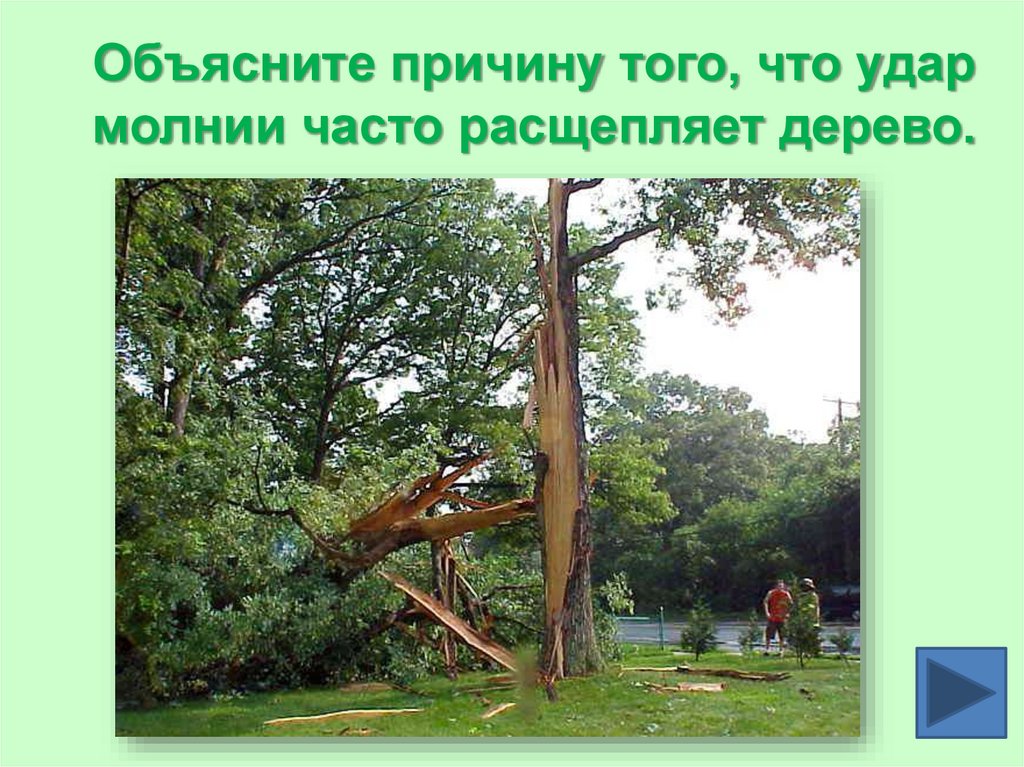 Объясните причину того, что удар молнии часто расщепляет дерево.