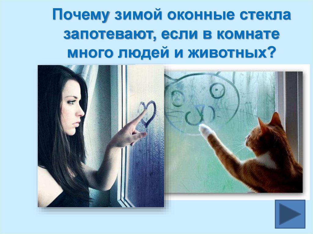 Почему зимой оконные стекла запотевают, если в комнате много людей и животных?