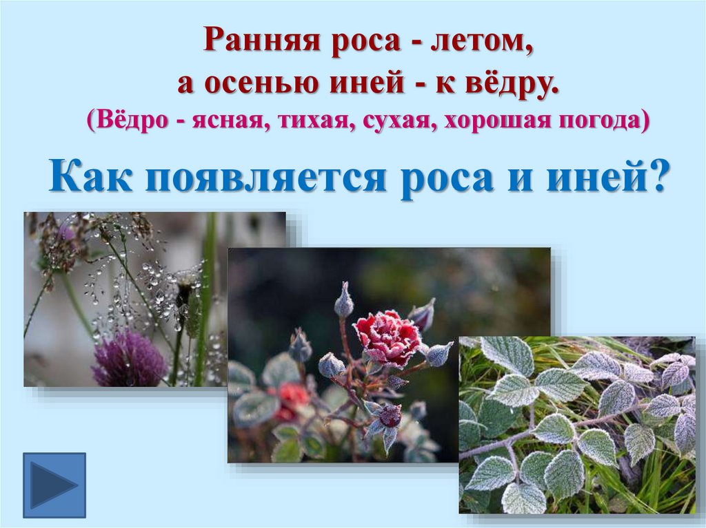 Ранняя роса - летом, а осенью иней - к вёдру. (Вёдро - ясная, тихая, сухая, хорошая погода)