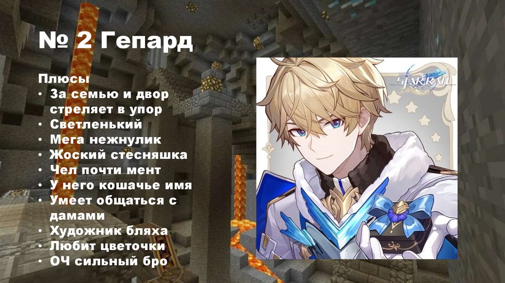 № 2 Гепард