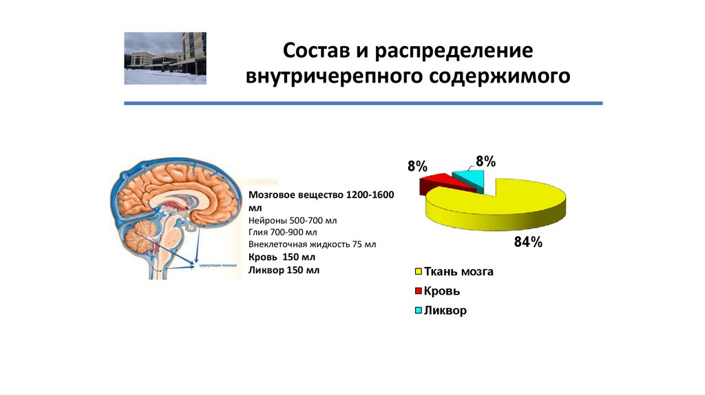 Состав и распределение внутричерепного содержимого