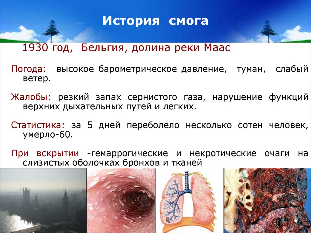 История смога