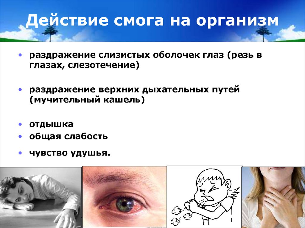 Действие смога на организм