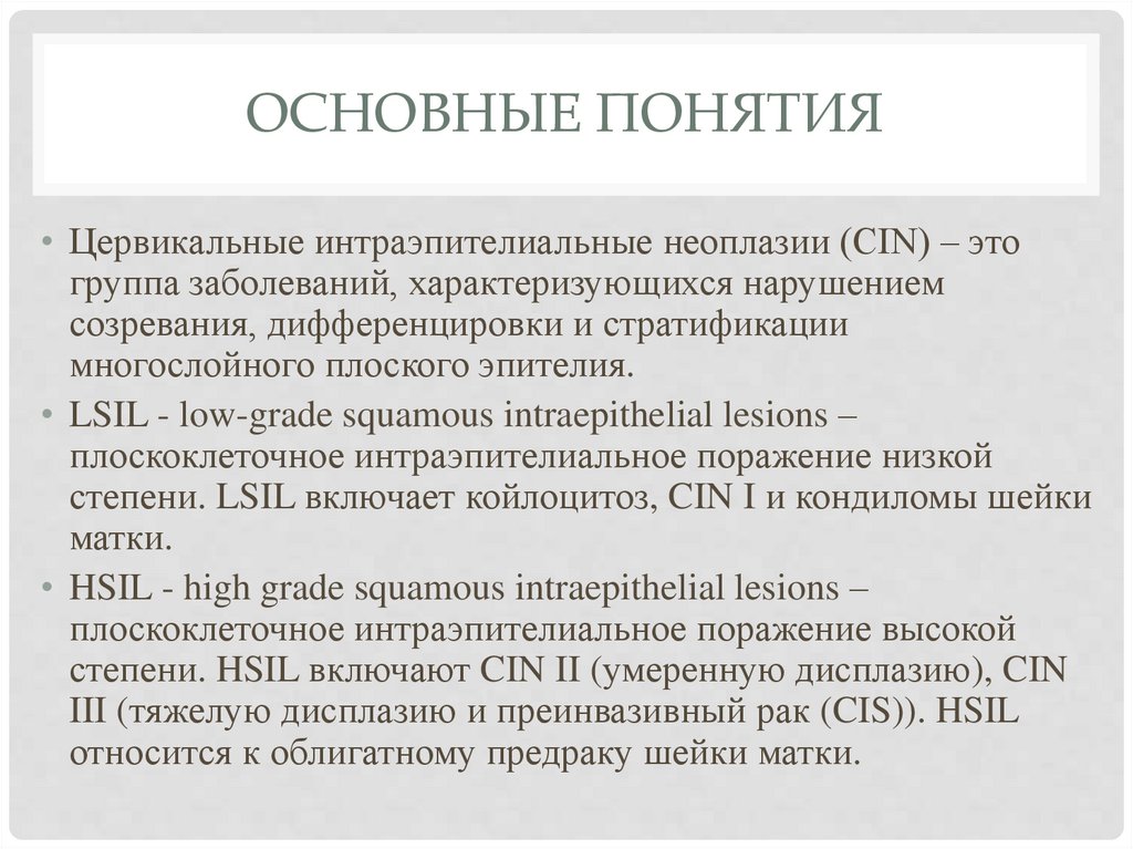 основные понятия