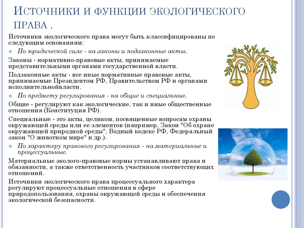 Источники и функции экологического права .