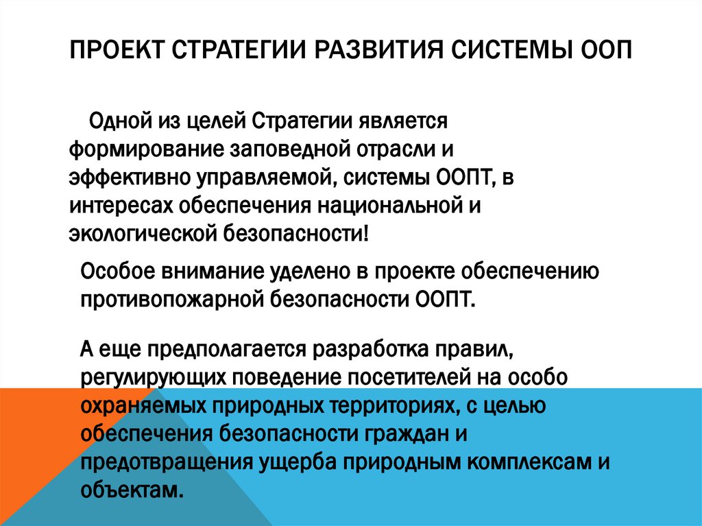 проект Стратегии развития системы ООП