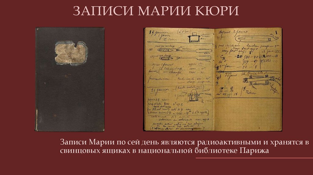 ЗАПИСИ МАРИИ КЮРИ