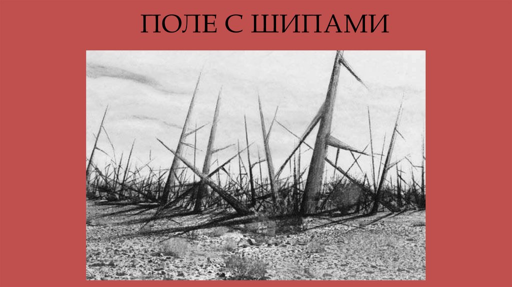 ПОЛЕ С ШИПАМИ