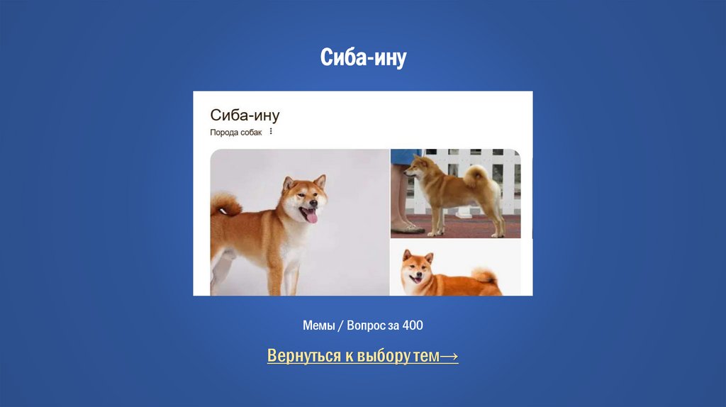 Сиба-ину Мемы / Вопрос за 400