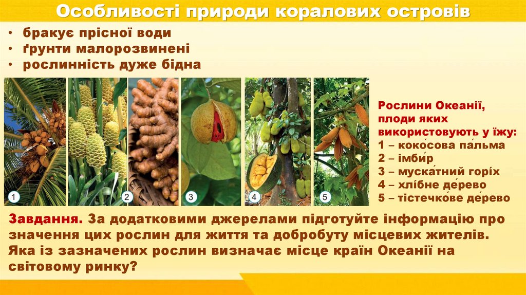 Особливості природи коралових островів