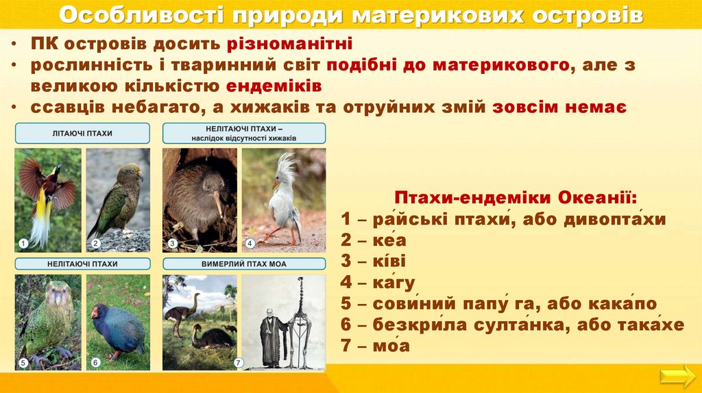 Особливості природи материкових островів