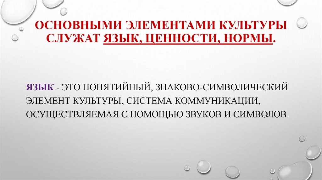 Основными элементами культуры служат язык, ценности, нормы.