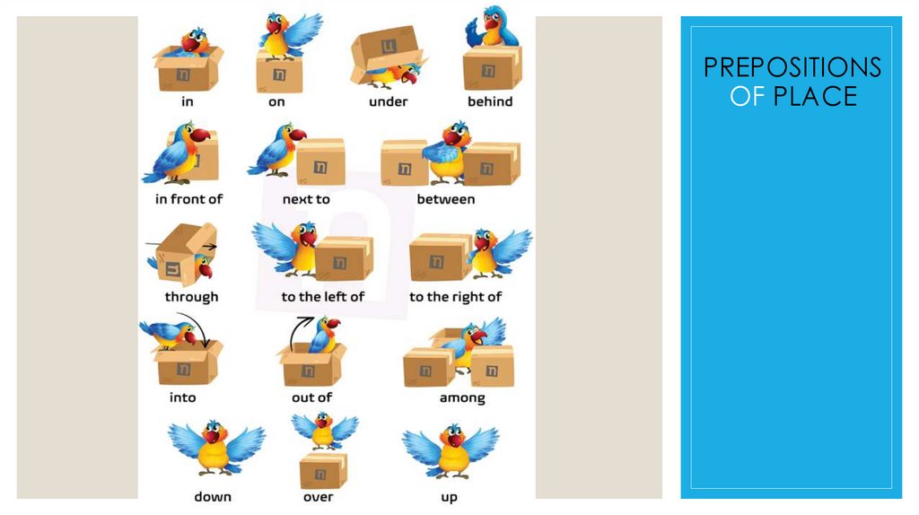PREPOSITIONS OF PLACE