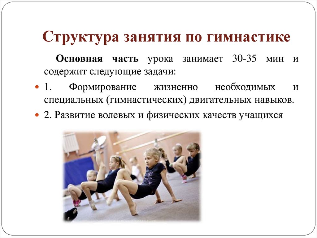 Структура занятия по гимнастике