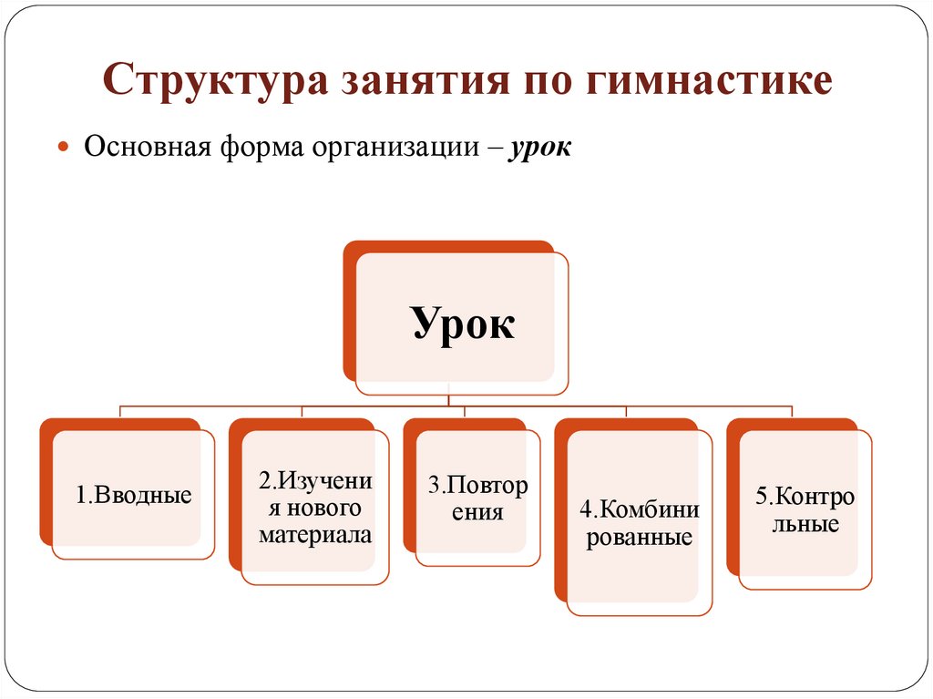 Структура занятия по гимнастике