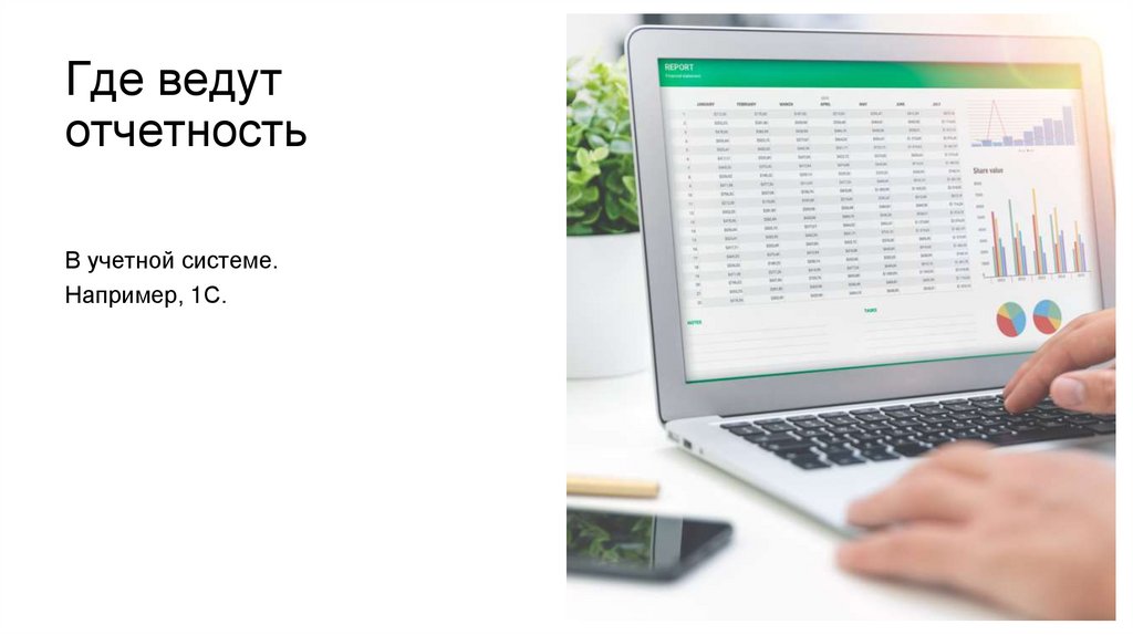 Где ведут отчетность