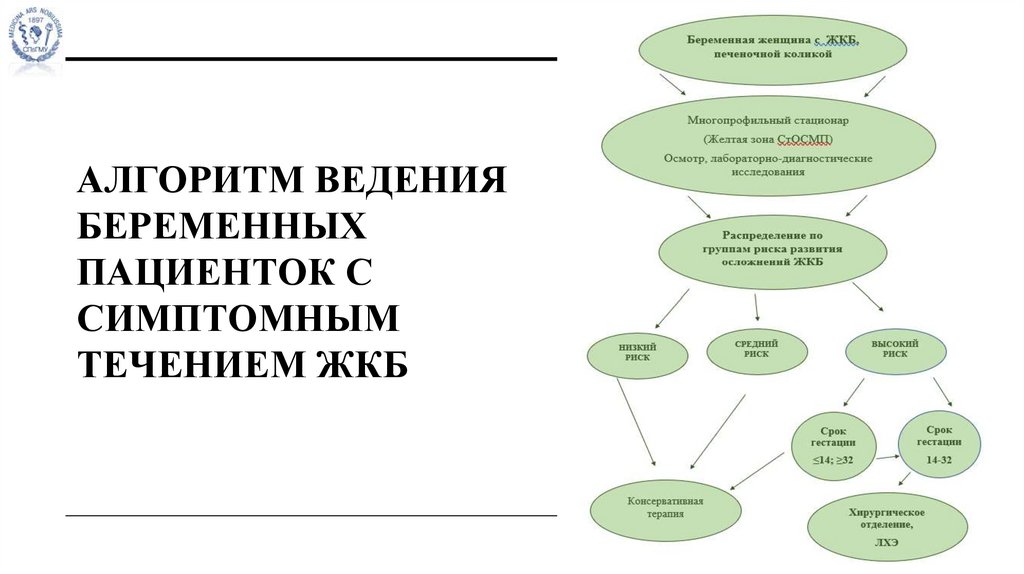 Алгоритм ведения беременных пациенток с симптомным течением ЖКБ