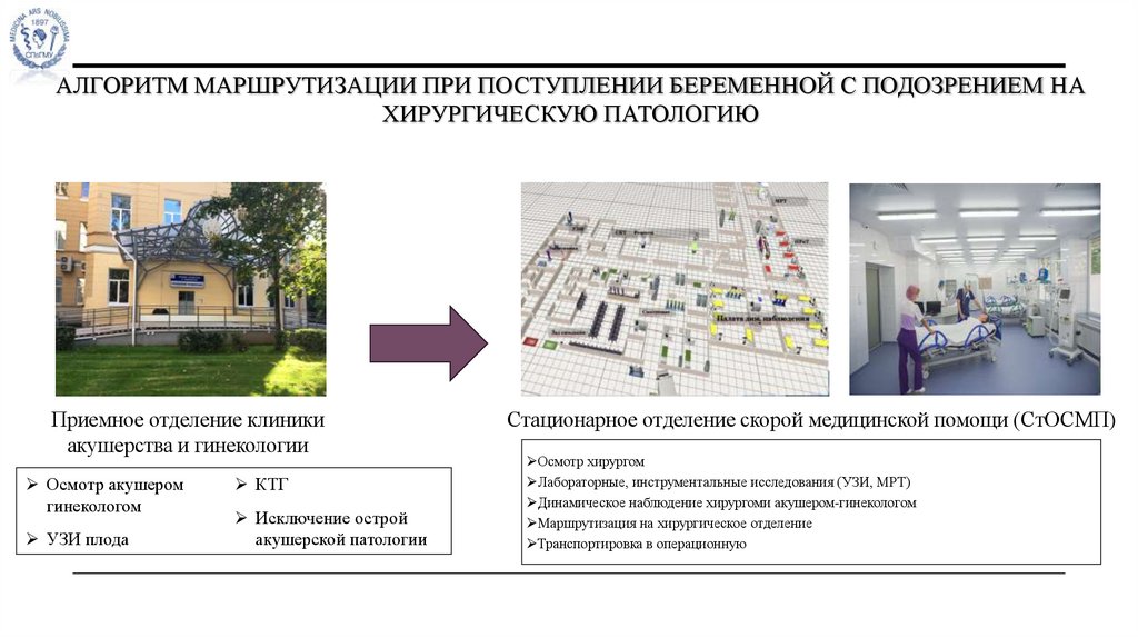 Алгоритм маршрутизации при поступлении беременной с подозрением на хирургическую патологию