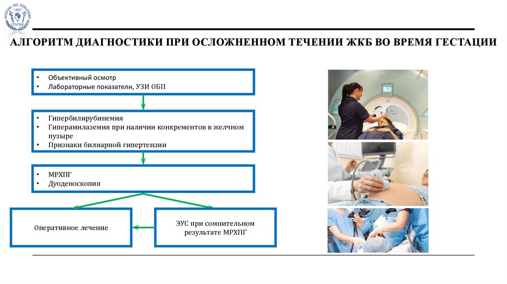 Алгоритм диагностики при осложненном течении жкб во время гестации