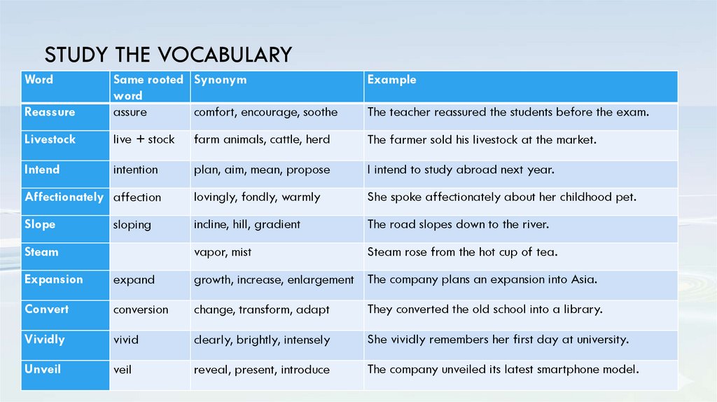 Study the vocabulary