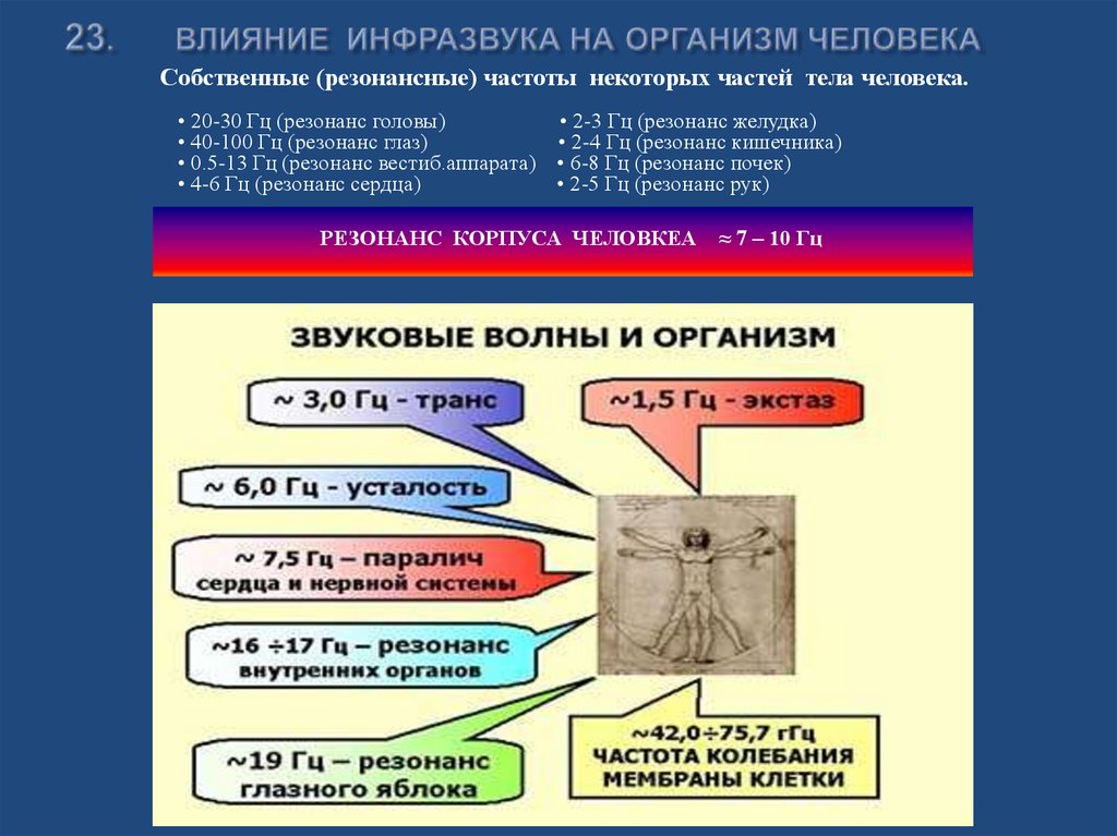 23. ВЛИЯНИЕ ИНФРАЗВУКА НА ОРГАНИЗМ ЧЕЛОВЕКА