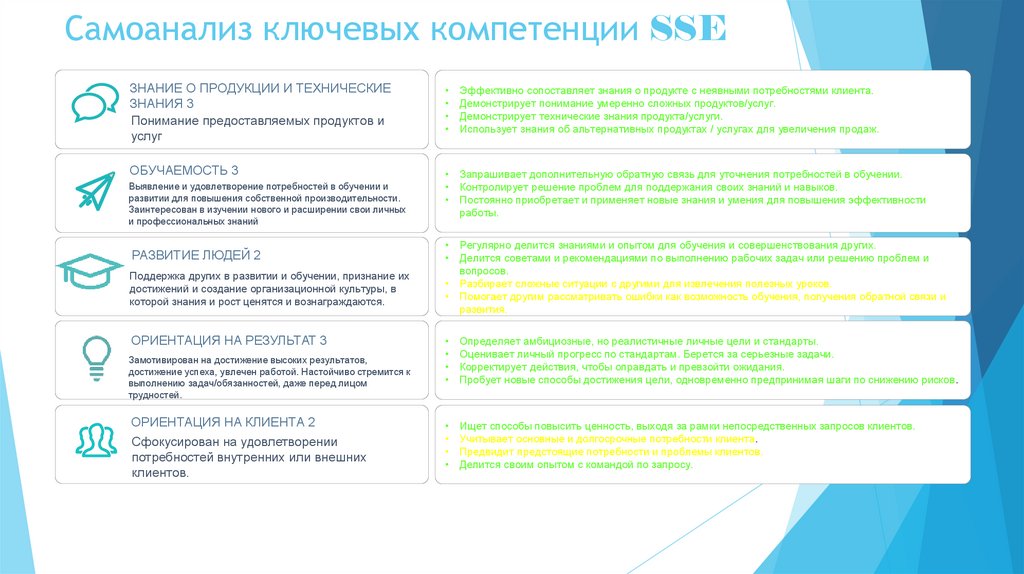 Самоанализ ключевых компетенции SSE