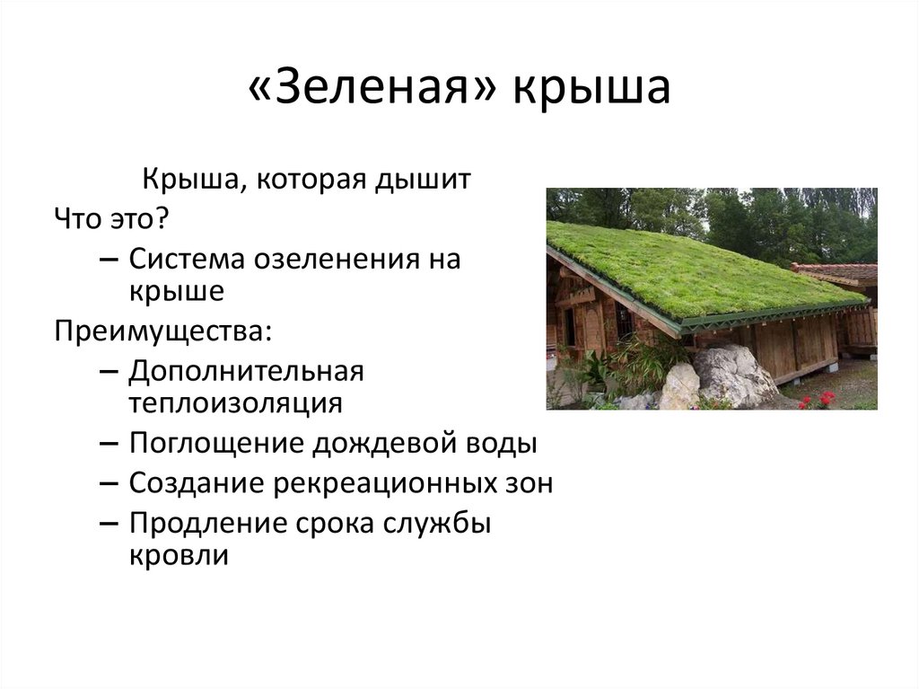 «Зеленая» крыша