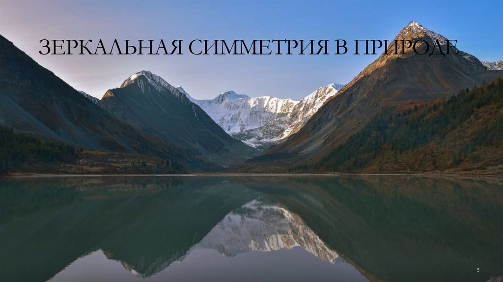 Зеркальная симметрия в природе 